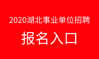 2020湖北事业单位招聘考试报名入口